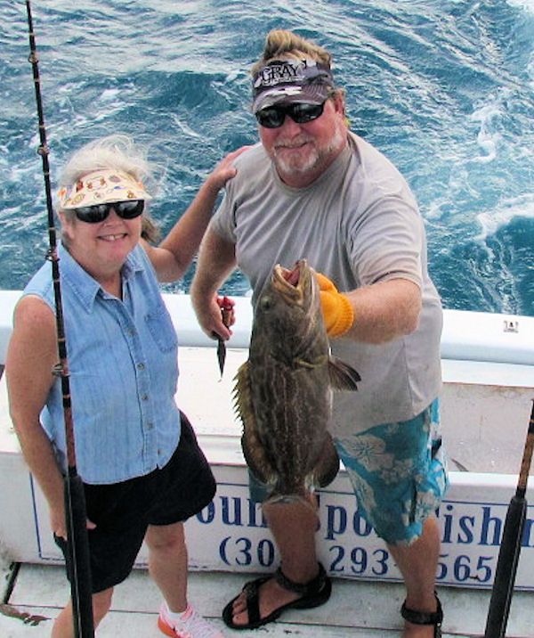 Undersized black grouper caught and released in Key West fishing on charter boat Southbound