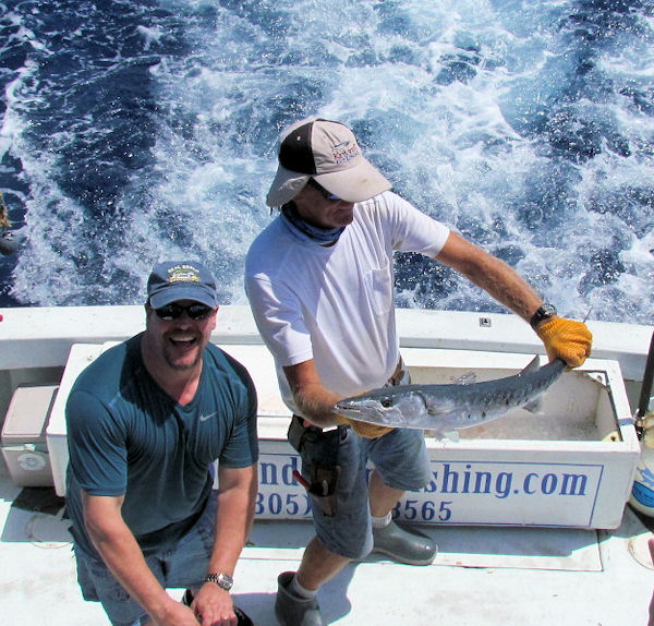 Barracuda caught and released in Key West fishing on charter boat Southbound