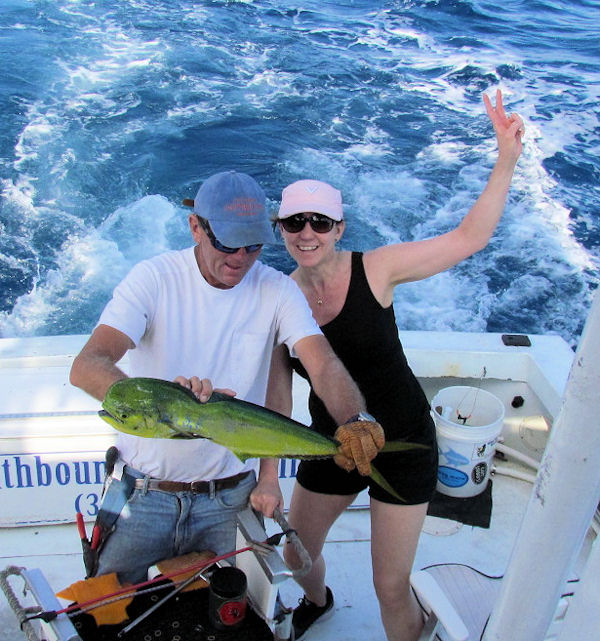 Dolphin Caught in Key West fishing on charter boat Southbound