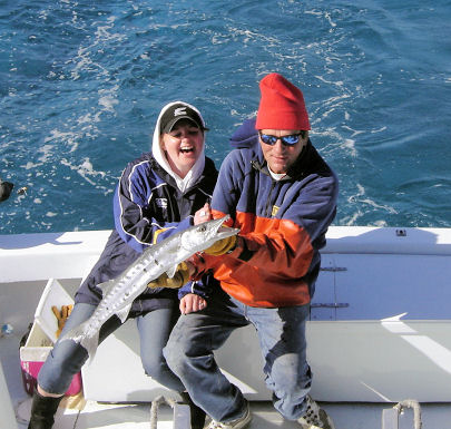 Barracuda caught fishing Key West on charter boat Southbound