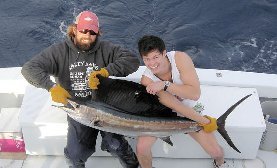 Sailfish caught fishing on charter boat Southbound in Key West Florida