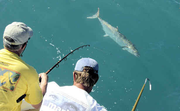 Pictures of Fish Caught aboard while Fishing Key West Charter Boat Southbound