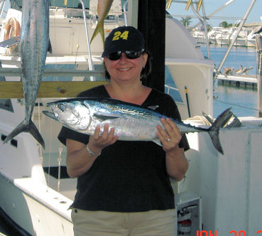 bonito caught fishing Key West on Key West charter fishing boat Southbound from Charter Boat Row Key Wes