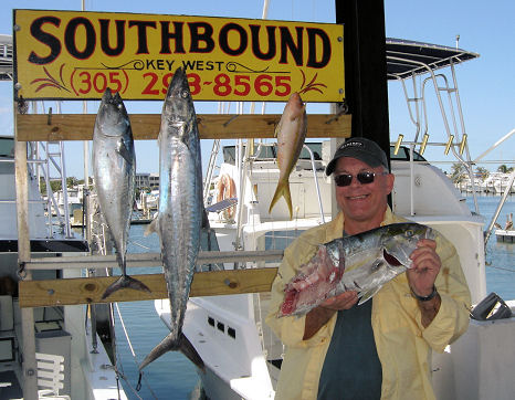 Head of an amber jack eaten by sharks while being caught fishing Key West on Key West charter fishing boat Southbound from Charter Boat Row Key Wes