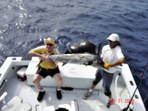 Fish caught aboard the Southbound in Key West, Florida
