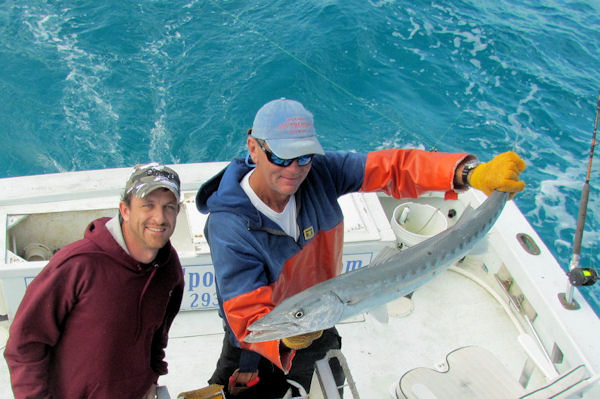 Barracuda caught and released in Key West fishing on charter boat Southbound