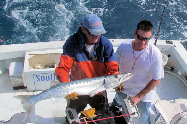 Barracuda caught and released in Key West fishing on charter boat Southbound