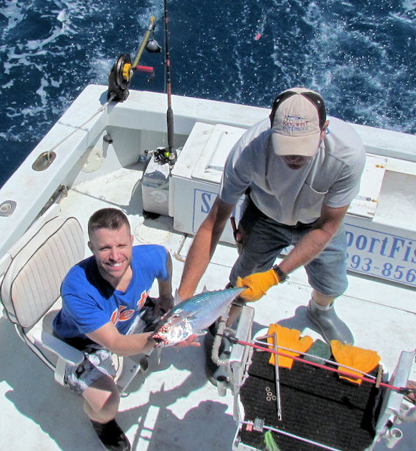 Bonito caught in Key West fishing on charter boat Southbound