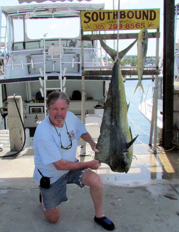 Bull Dolphin caught in Key West fishing on charter boat Southbound