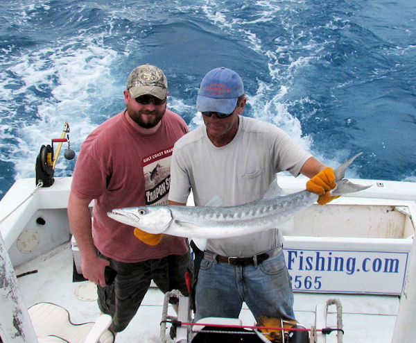Big Barracuda released in Key West fishing on charter boat Southbound