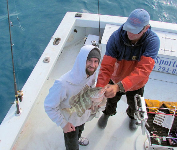 Grouper caught and released in Key West fishing on Charter boat Southbound