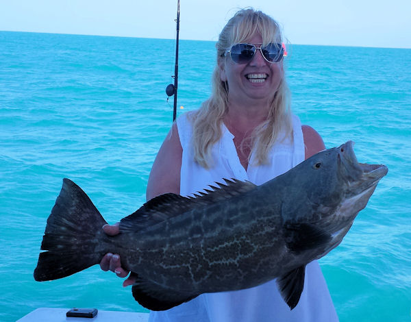 Black grouper Caught and released along side of the boat in Key West fishing on charter boat Southbound