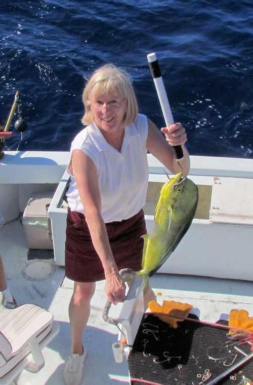 Dolphin caught fishing in Key West on Charter Boat Southbound from Charter Boat Row Key West