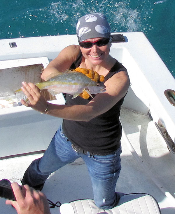 Yellow Tail Snapper caught in Key West fisihing on charter boat Southbound from Charter Boat Row, Key West Florida