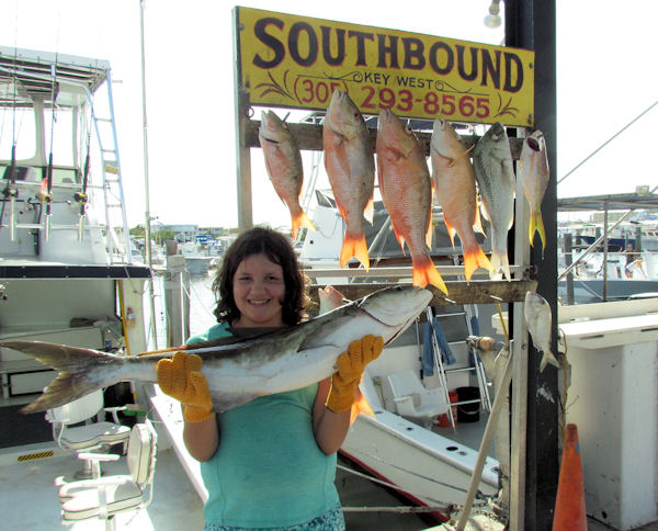 Cobia caught in Key West fishing on charter boat Southbound