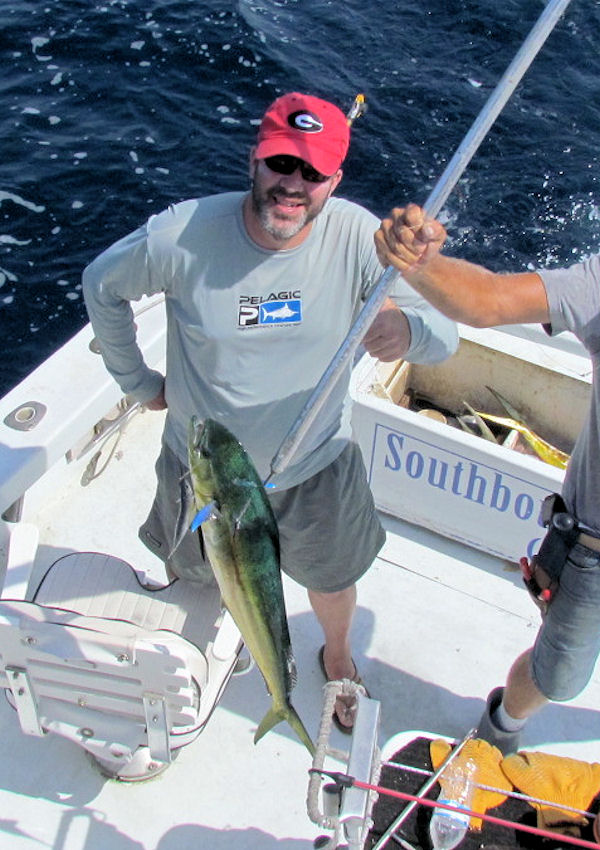 Nice Dolphin in the Gaff in Key West fishing on charter boat Southbound