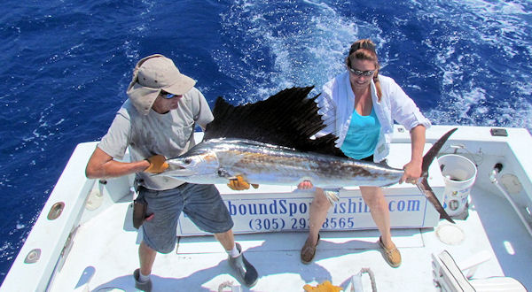 Sailfish caught in Key West fishing on Charter Boat Southbound