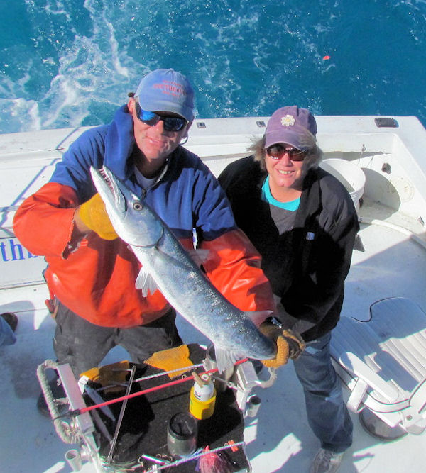 Barracuda caught and released in Key West fishing on charter boat Southbound