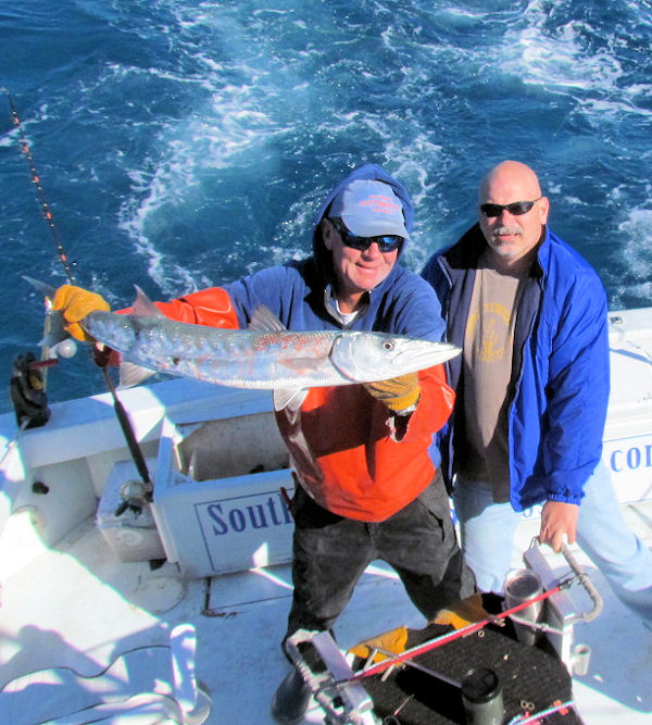 Barracuda caught and released in Key West fishing on charter boat Southbound