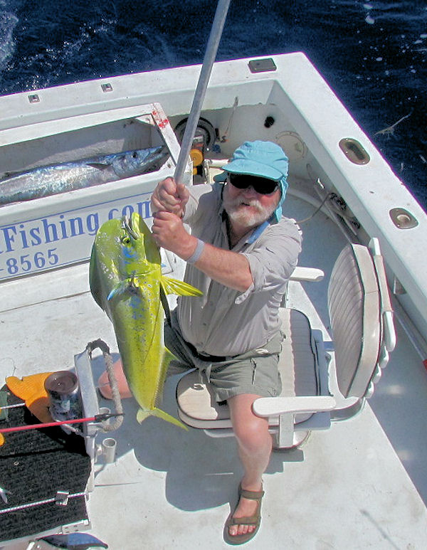 Nice Dolphin caught in Key West fishing on charter boat Southbound