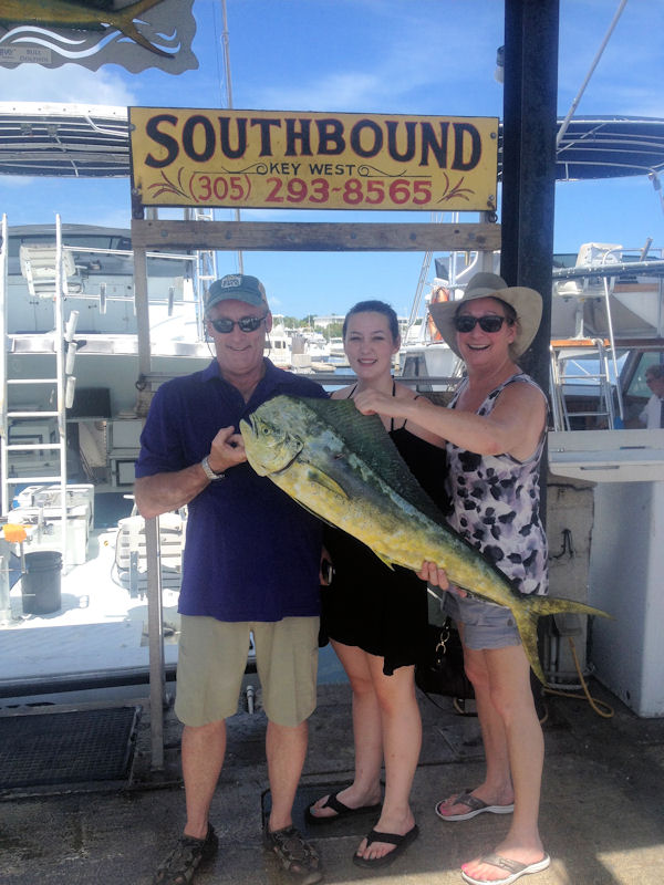 Nice Dolphin caugth in Key West fishing on charter boat southbound