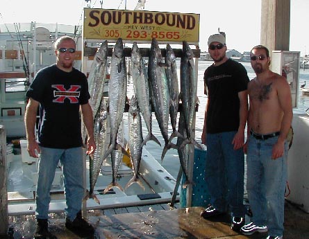 Key West Kingfish