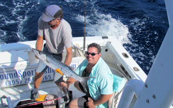 Barracuda caught and released in Key West fishing on charter boat Southbound