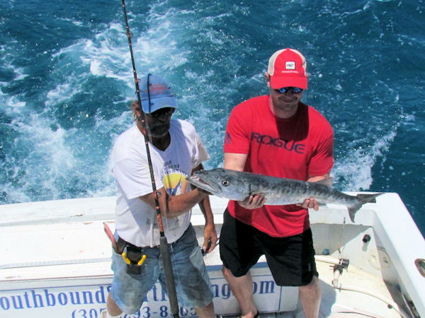 Barracuda caught and released in Key West fishing on charter boat Southbound