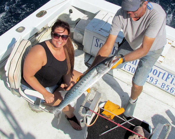Barracuda caught and released in Key West fishing on charter boat Southbound