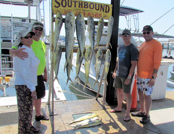 Good catch of dolphin in Key West fishing on charter boat Southbound