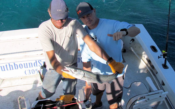 Barracuda caught and released in Key West fishing on charter boat Southbound