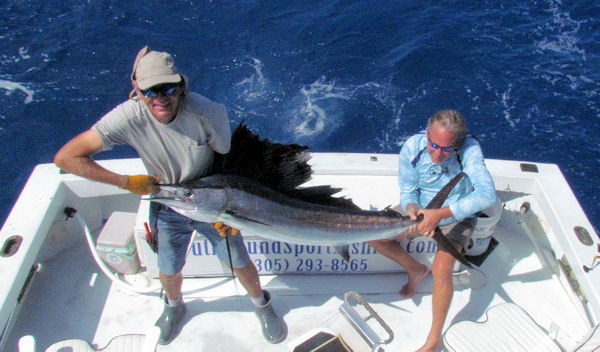 Sailfish caught and released on charterboat Southbound while fishing Key West