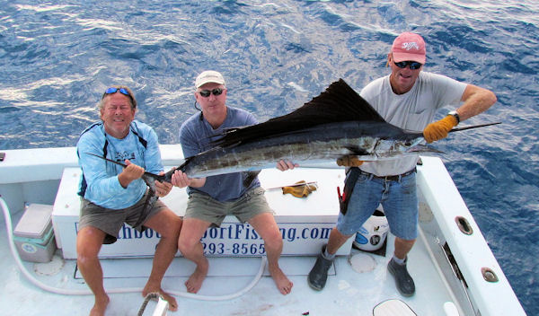 Sailfish caught and released on charterboat Southbound while fishing Key West