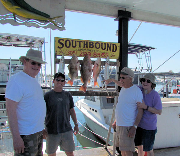 Groupers and snapper on the Reef Today
