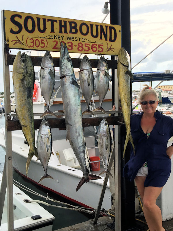 Tuna, Dolphin and a nice Wahoo caugth in Key West fishing on charter boat Southbound