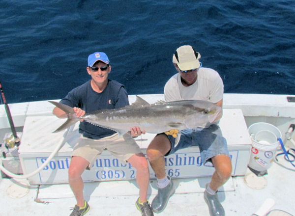 Amberjack caught and released in Key West fishing on charter boat Southbound