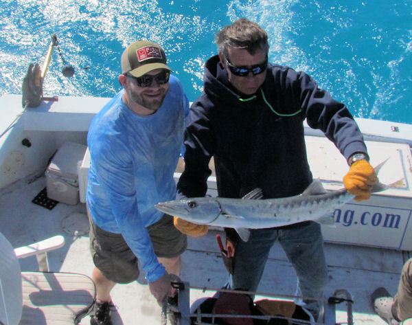 Barracuda Caught and Released in Key West fishing on Key West Charter Boat Southbound