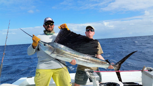 Sailfish caugth in Key West fishing on charter boat Southbound