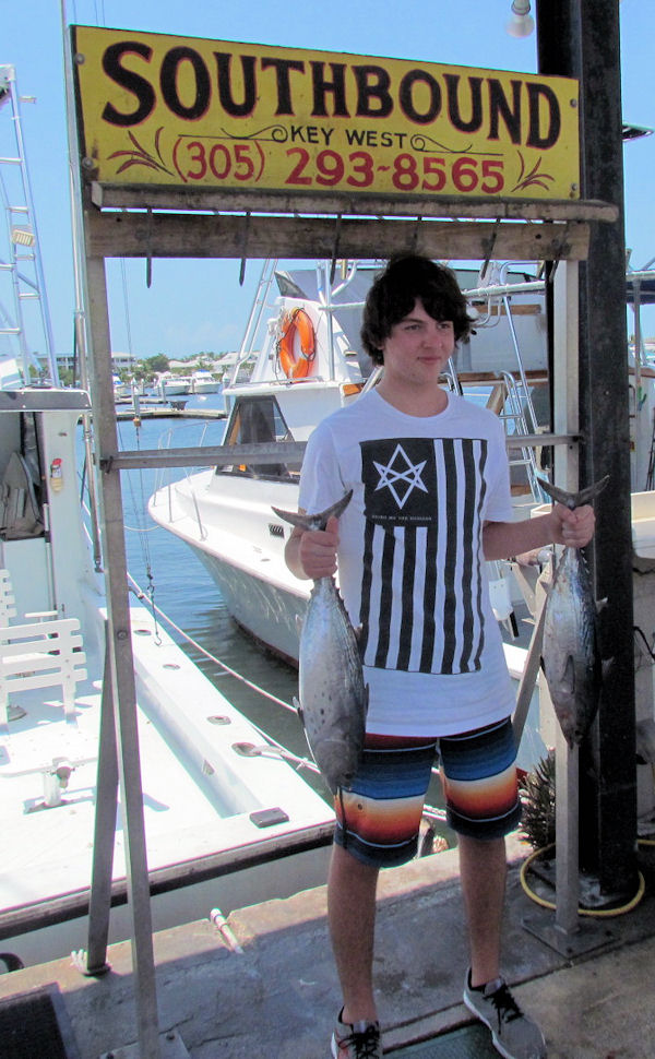 Bonitos caught on charterboat Southbound while fishing Key West