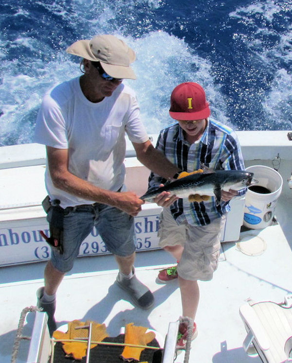 Bonitos caught and released on charterboat Southbound while fishing Key West