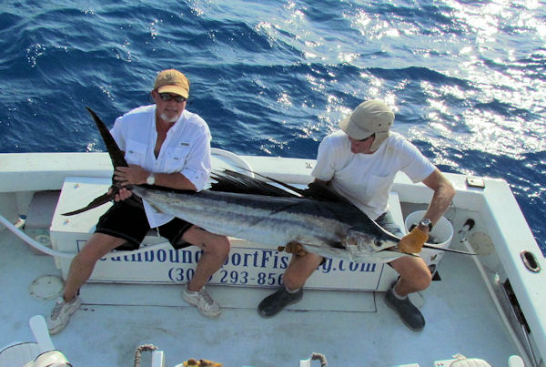 Sailfish caught and released on charterboat Southbound while fishing Key West