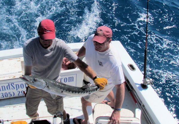 Barracuda Caught and Released in Key West fishing on Key West Charter Boat Southbound
