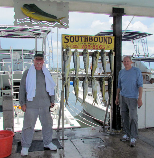 Dolphin caught on the Charter Boat Southbound while fishing Key West Waters