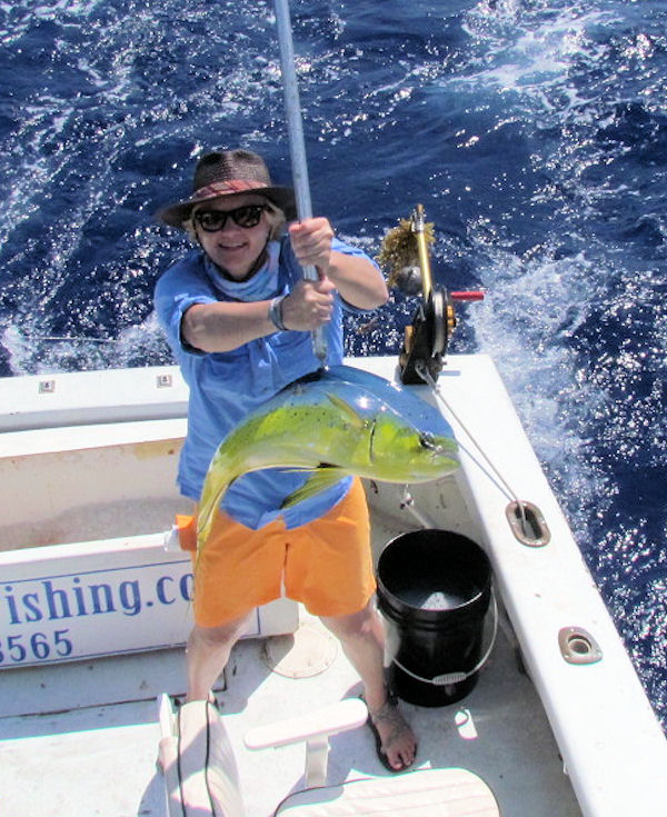Dolphin caught in Key West fishing on charter boat Southbound