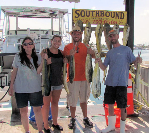 Good catch of Dolphin caught in Key West fishing on charter boat Southbound