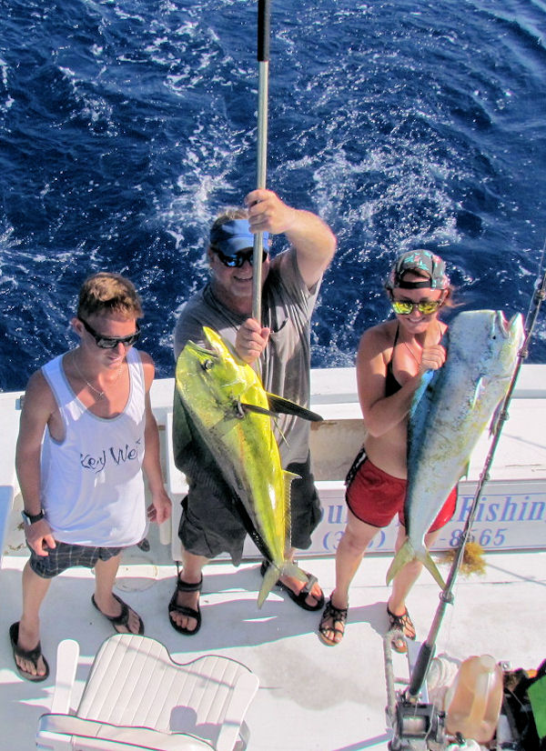 Big Dolpin caught on charter boat Southbound fishing key west waters