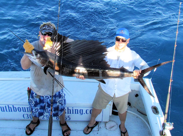 Sailfish caught and released in Key West fishing on charter boat Soutbound