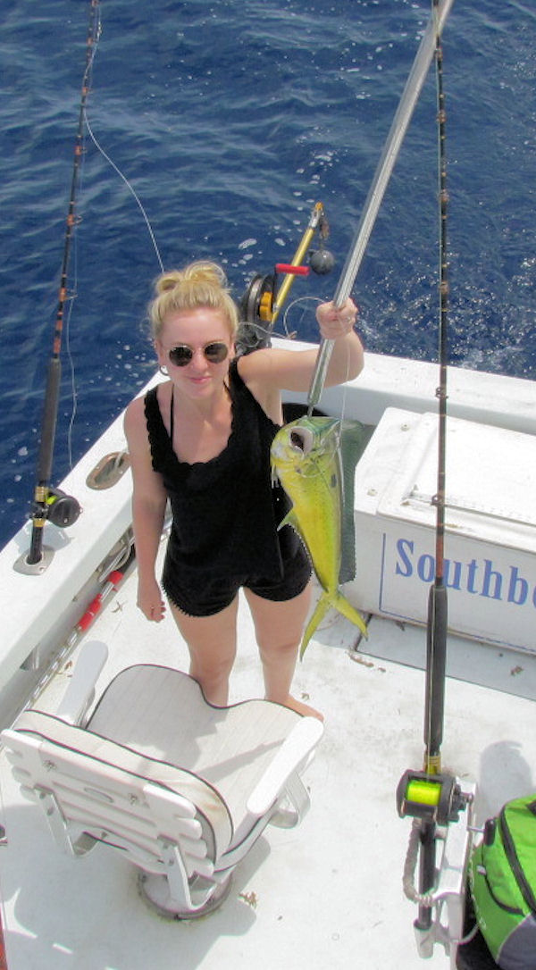 Dolphin caught in Key West fishing on Charter boat Southbound