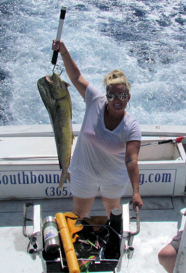 big dolphin caught in Key West fishing on charter boat Southbound