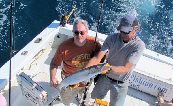 Barracuda caught and released in Key West fishing on charter boat Southbound